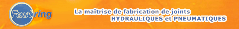 Fastring : Joints d'étanchétité standards et sur mesure